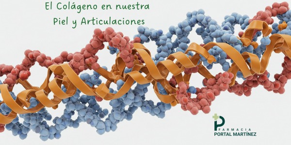 La importancia del Colágeno
